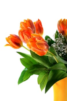 Tulip bouquet