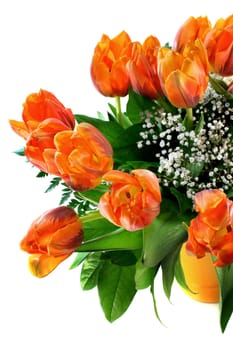 Tulip bouquet