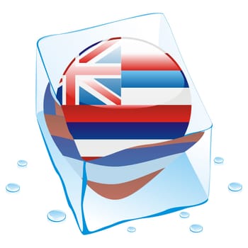 hawaii flag frozen in ice cube