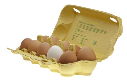 Egg carton.....