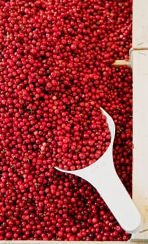 Basket full with Cowberries