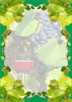 Wine list