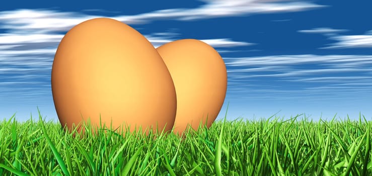 Two Yellow Eggs in the Grass - 02