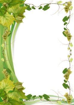Vines