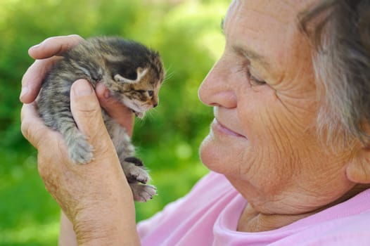 Senior woman holding little kitten