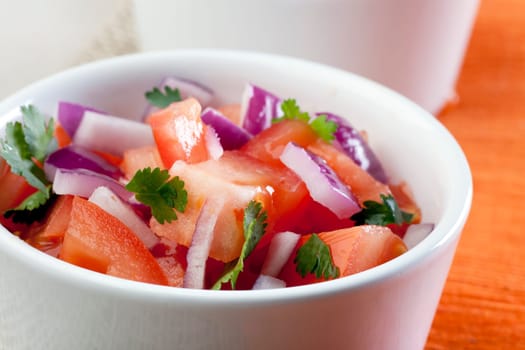 Close Up Fresh Salsa