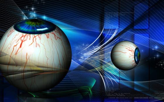 Eye