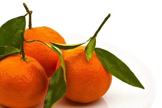 Clementines ......
