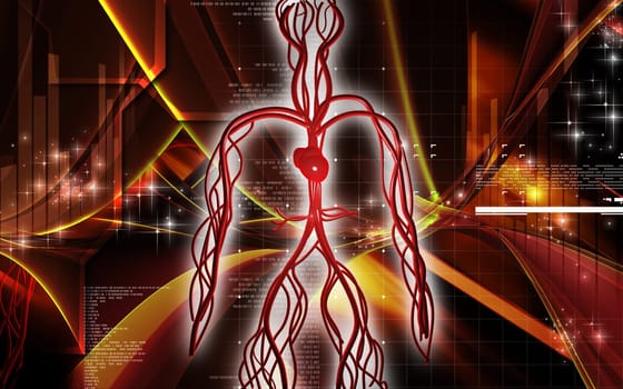 Vascular system