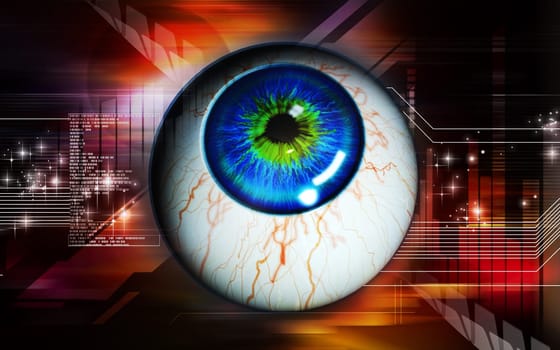 Eye