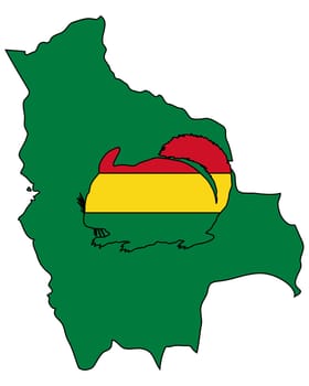 Chinchilla Bolivia