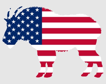 Mountain Goat USA