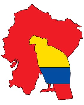 Andean Condor Ecuador