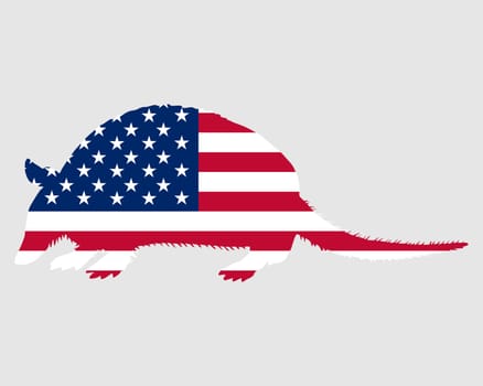 Armadillo USA