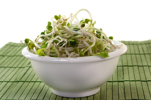 Radish sprouts