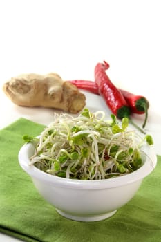 Radish sprouts