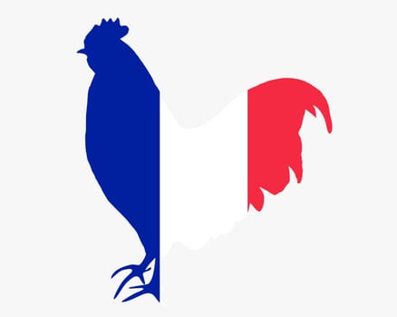 French Rooster