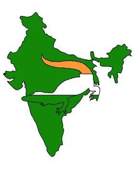 Crocodile India