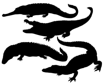 Reptile Silhouette