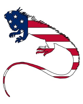 Iguana USA