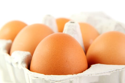 Eggs in egg packet