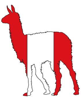 Lama Peru
