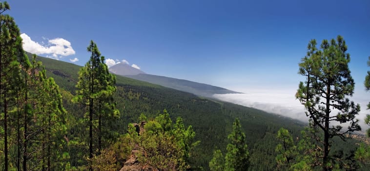 Orotava Valley with Teide 3