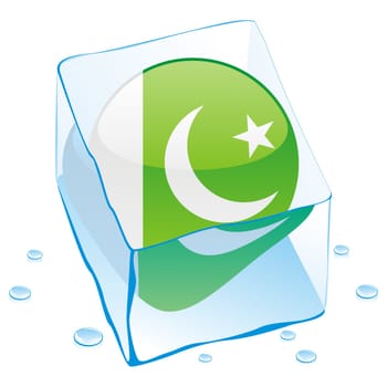 pakistan flag frozen in ice cube