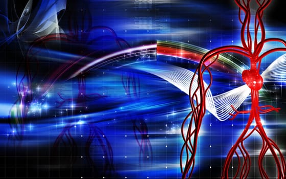 Vascular system
