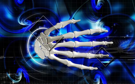 Hand bone