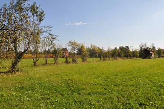 Landscape