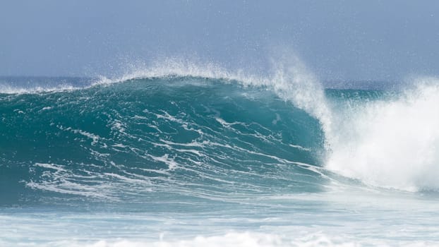 Surf