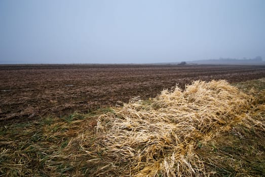 Wide Fields