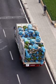 Banana transporter