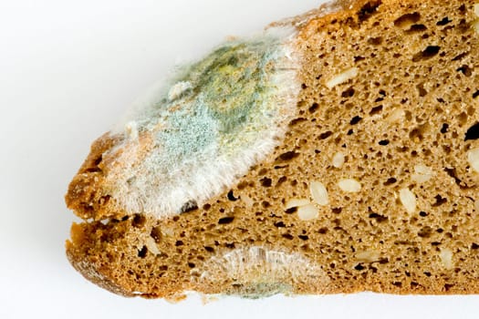 moldy bread