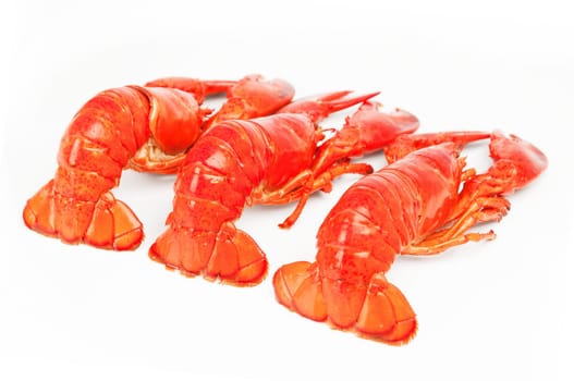 Lobster