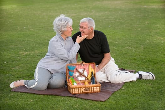 Senior Couple Picnic
