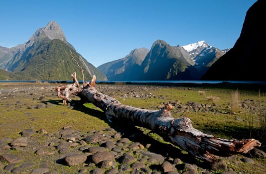 Milford Sound