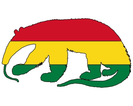 Anteater Bolivia