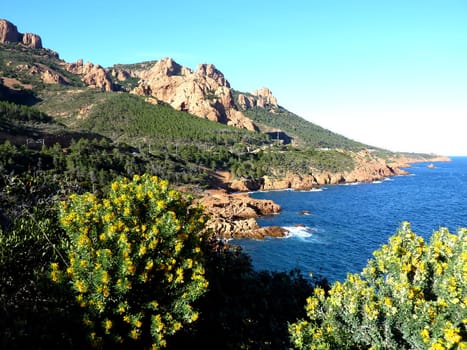 Esterel massif and big vegetation