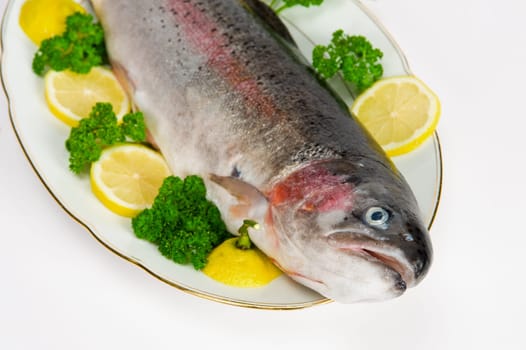 fish