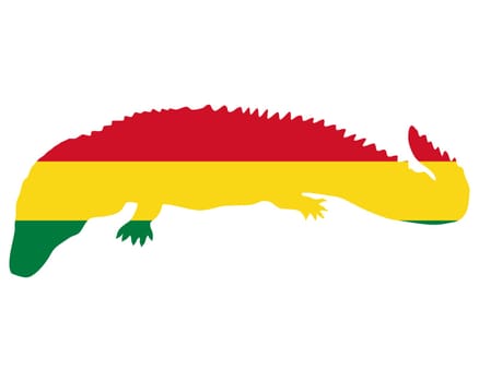 Cayman Bolivia