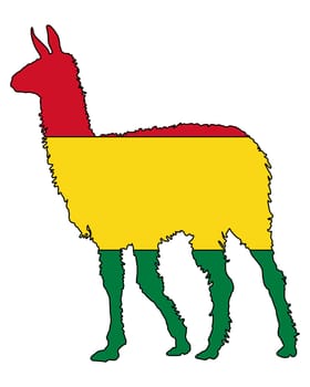 Lama Bolivia