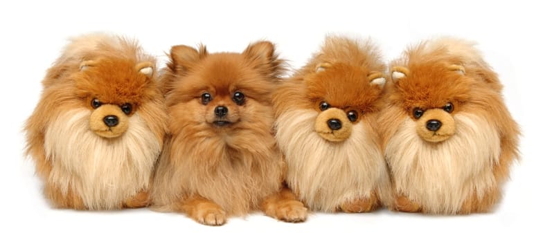 Thee Imposters