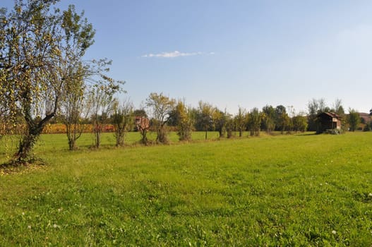 Landscape