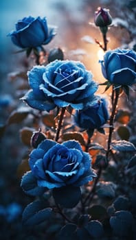 Beautiful bunch of frosty deep black roses. AI generated