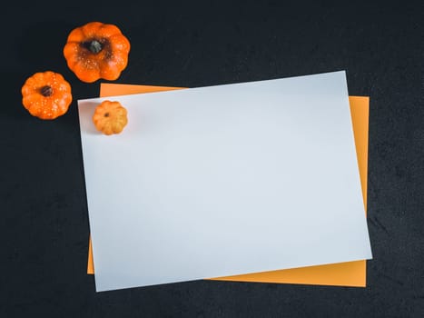 Two empty leaves white and orange lie in the middle on a black background with three decorative pumpkins on the left. Flat lay close-up.