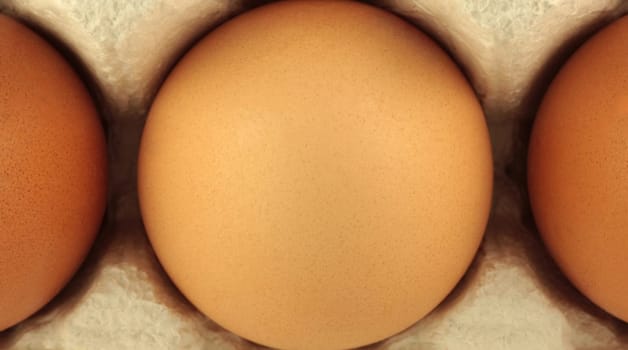 Egg on carton