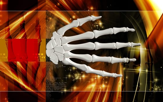 Hand bone