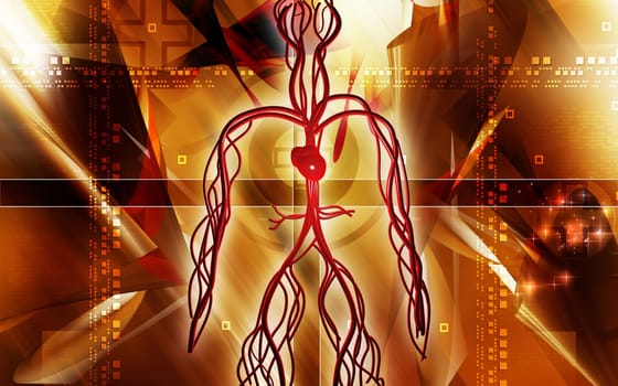 Vascular system